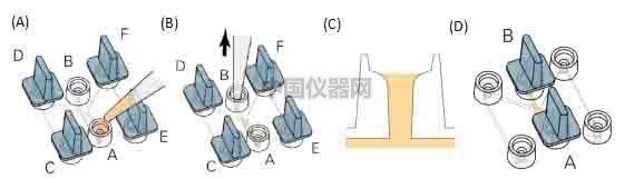 細胞趨化實驗新方法（二）--實時觀察細胞動態