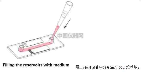 血管內(nèi)皮細胞模擬體內(nèi)流體環(huán)境
