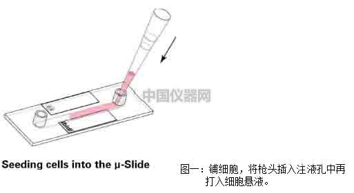 血管內(nèi)皮細胞模擬體內(nèi)流體環(huán)境