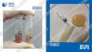 多樣品組織研磨機-32