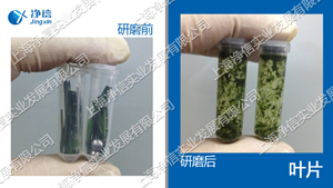 快速組織研磨機,多樣品組織勻漿機,快速樣品勻漿系統(tǒng)